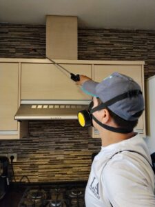 سمپاشی سوسک بالای کابینت